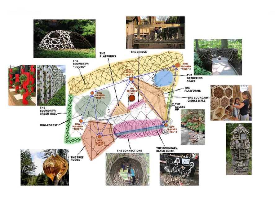 XUL-King Alfred School-Forest Plan