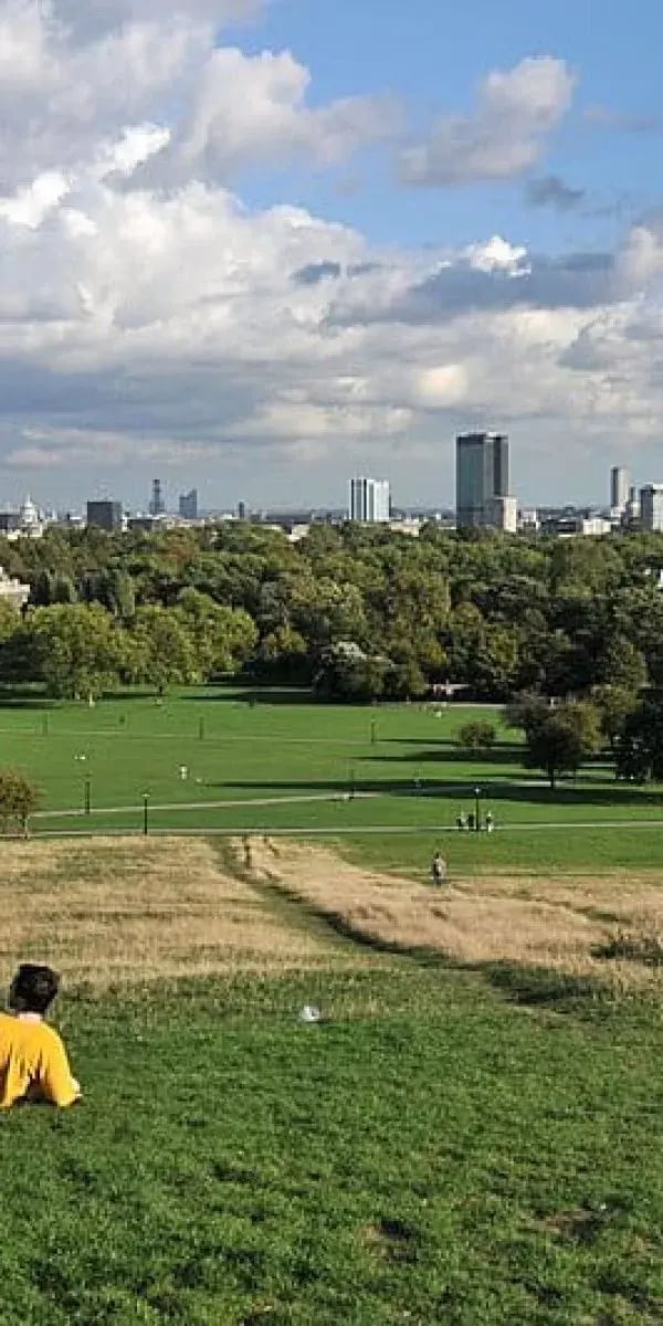 Primrose Hill Architects