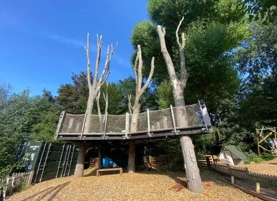 King Alfred School Tree House