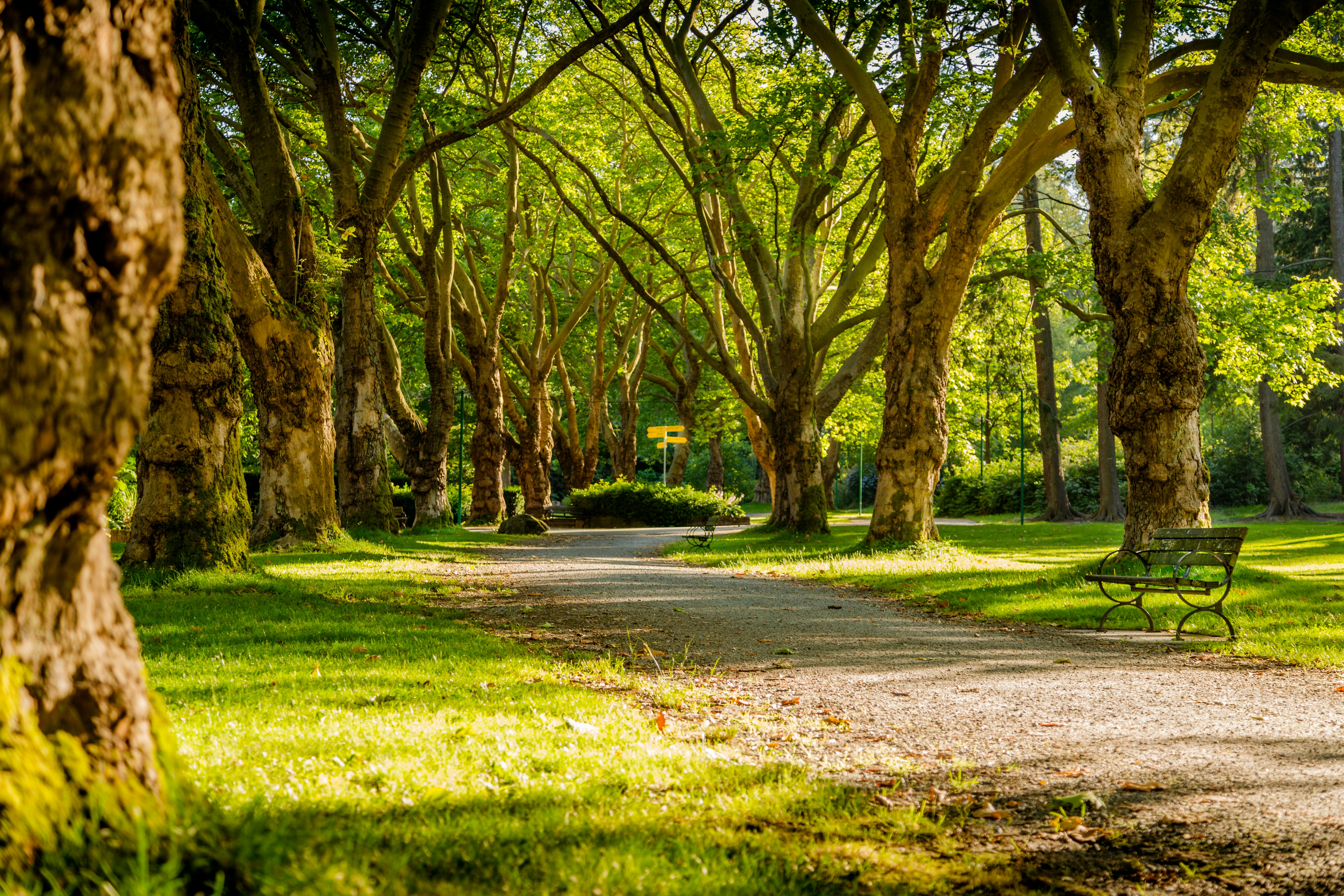 How Green Spaces Help Young Minds Thrive