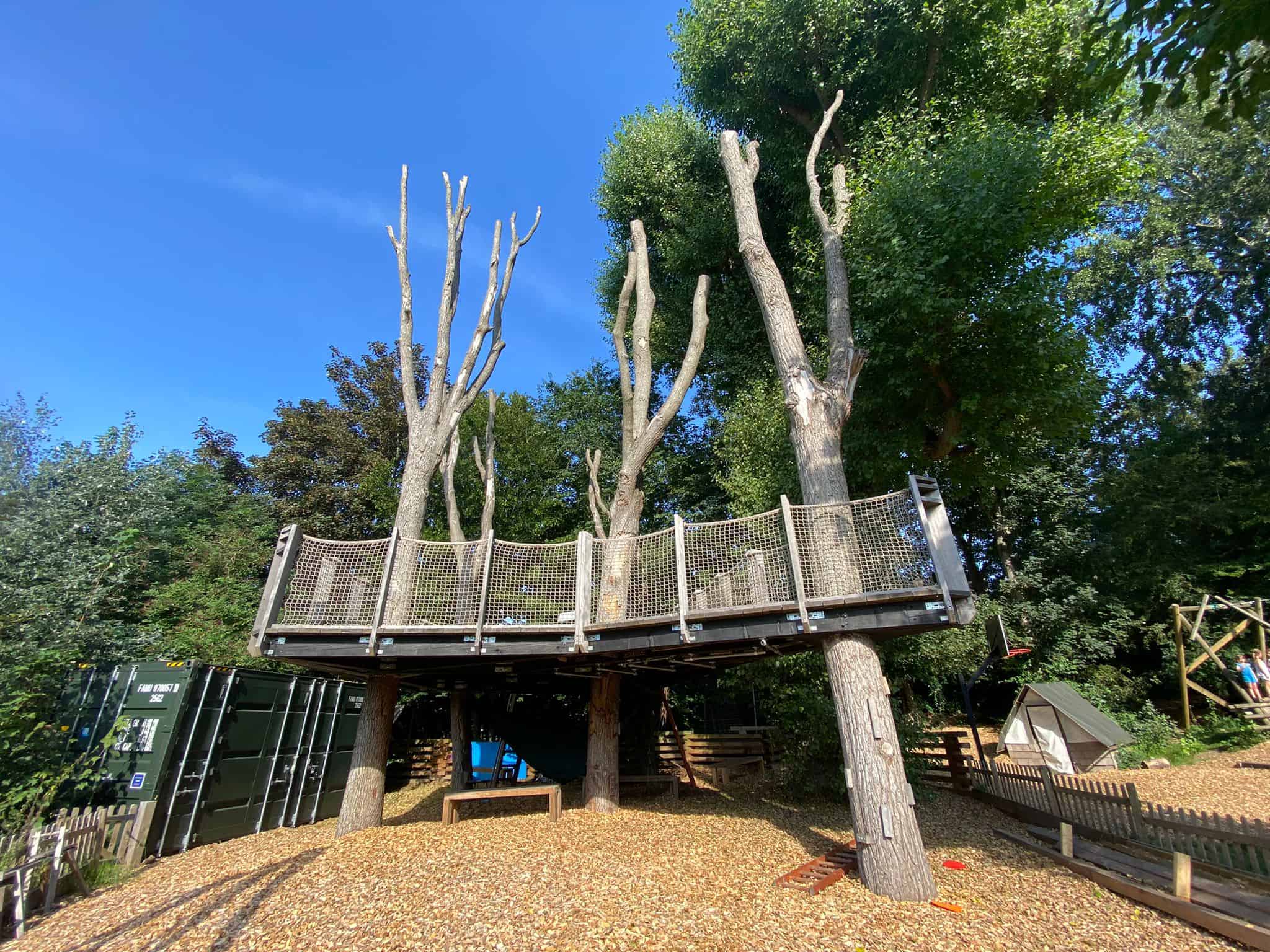 King Alfred School Tree House 1